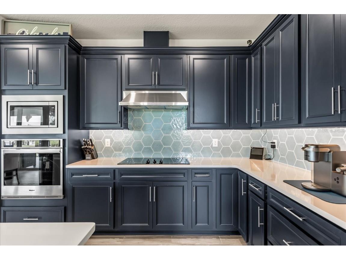 17491 Saw Palmetto Avenue Clermont FL 34714 O6332154 image17