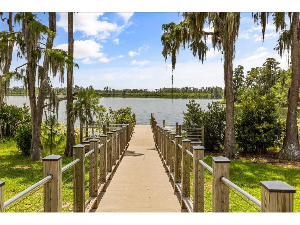 17491 Saw Palmetto Avenue Clermont FL 34714 O6332154 image41