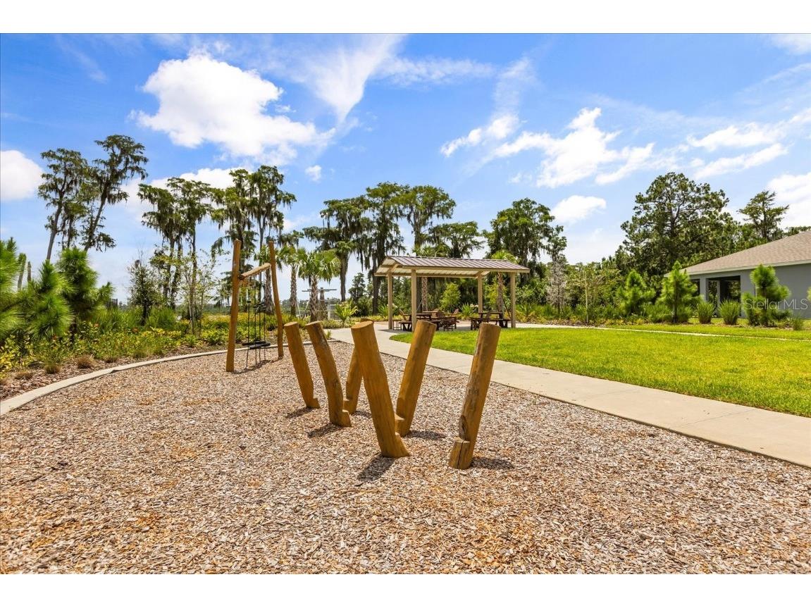 17491 Saw Palmetto Avenue Clermont FL 34714 O6332154 image42