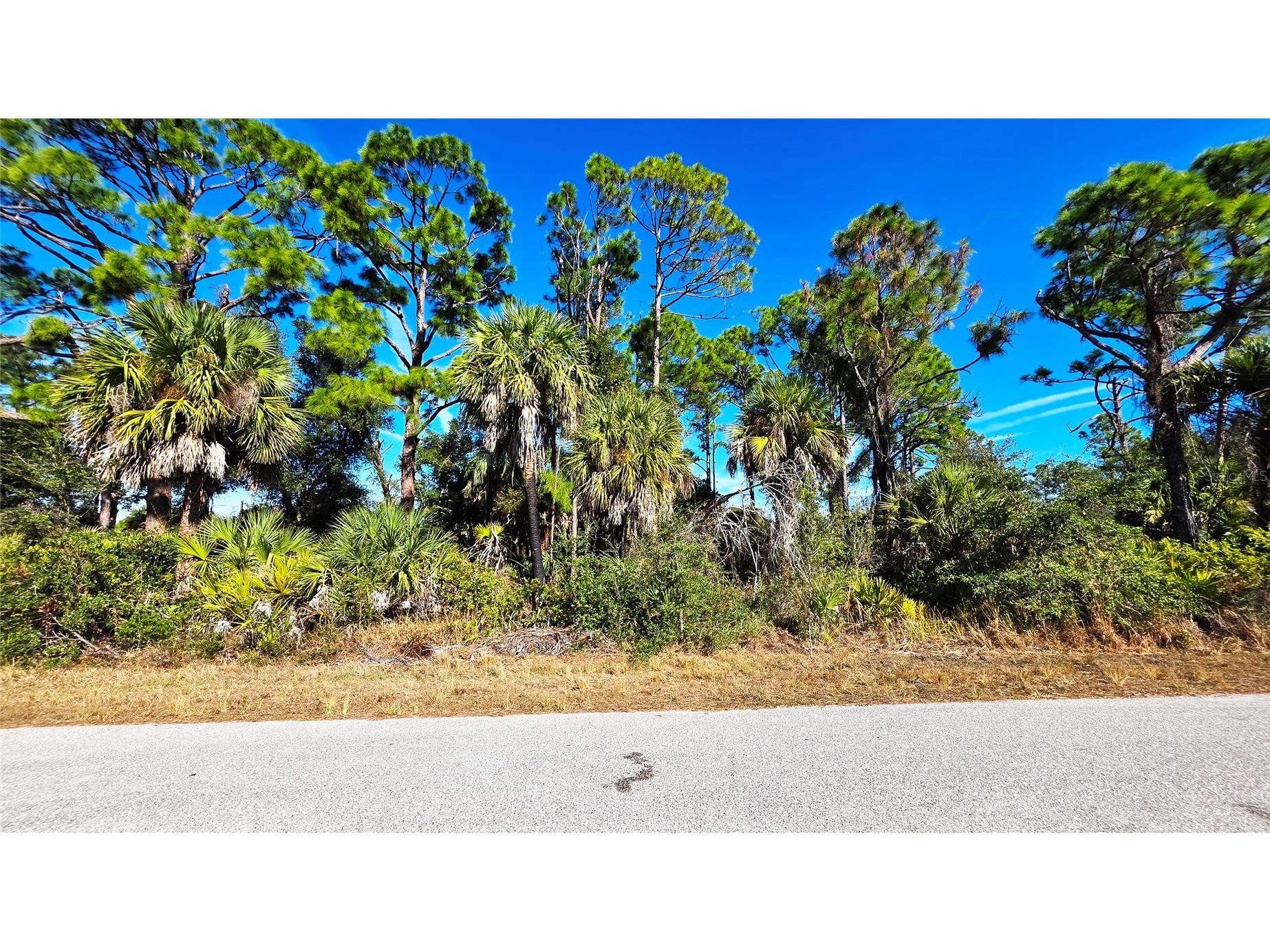 17492 Waco Avenue Port Charlotte FL 33948 TB8465897 image2