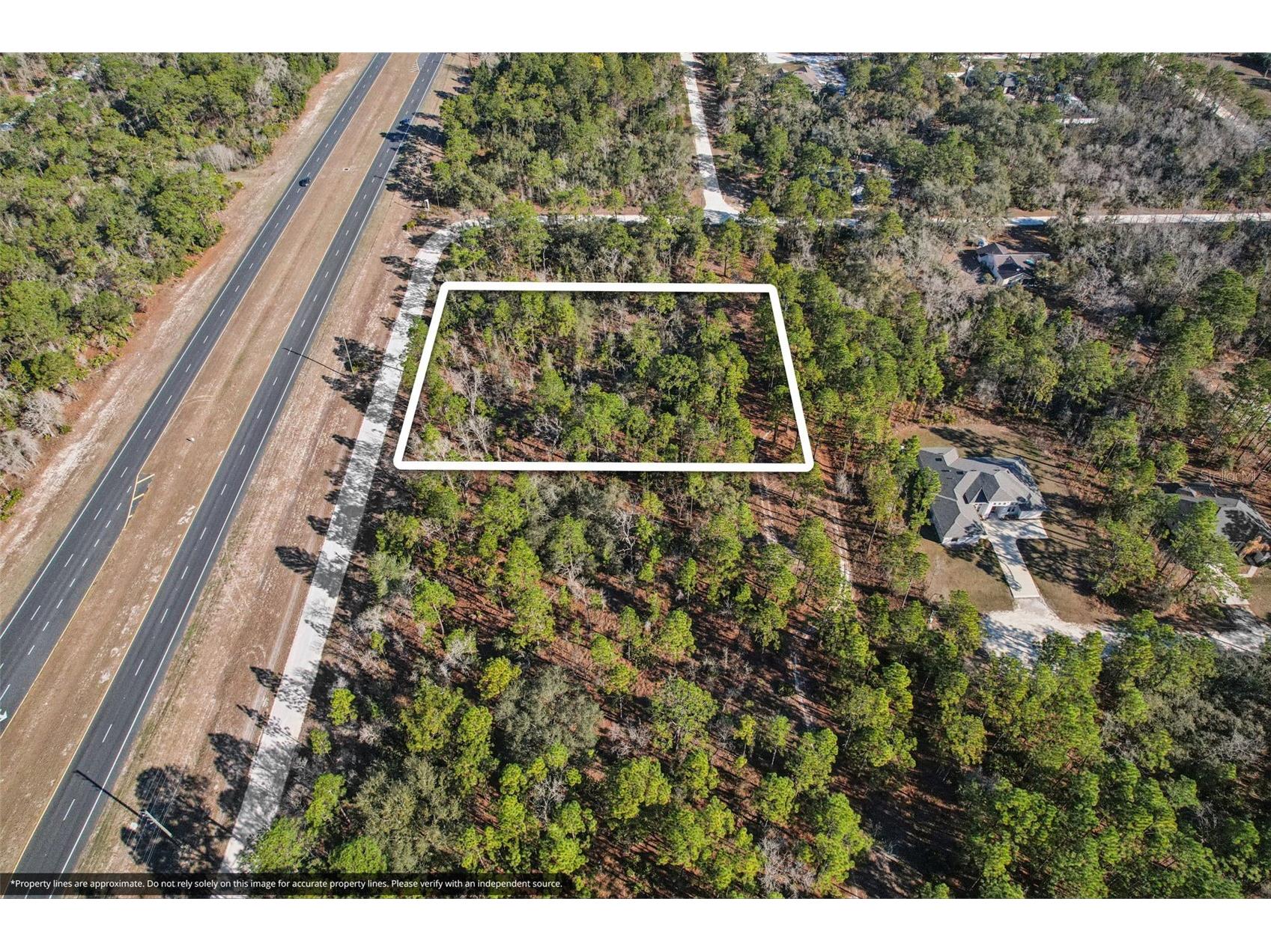 17496 Nicasio Jay Avenue Weeki Wachee FL 34614 W7883302 image1