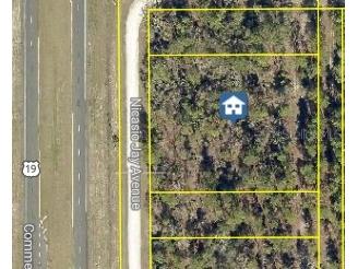 17496 Nicasio Jay Avenue Weeki Wachee FL 34614 W7883302 image3
