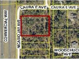 17496 Nicasio Jay Avenue Weeki Wachee FL 34614 W7883302 image4