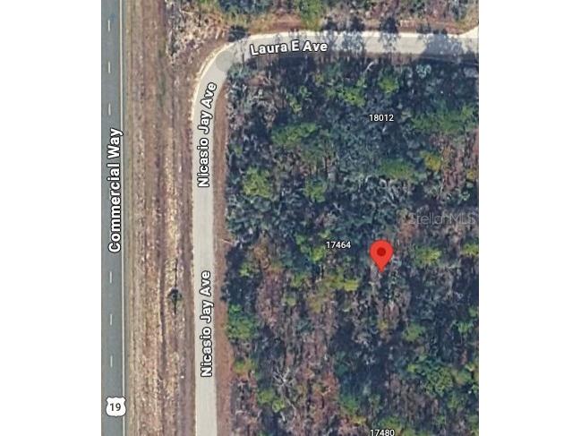 17496 Nicasio Jay Avenue Weeki Wachee FL 34614 W7883302 image7