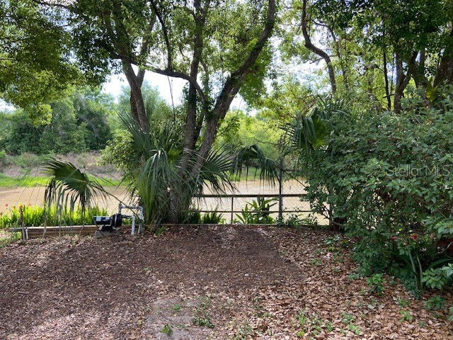 17499 Hanna Road Lutz FL 33549 TB8501902 image10