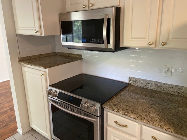 17499 Hanna Road Lutz FL 33549 TB8501902 image5
