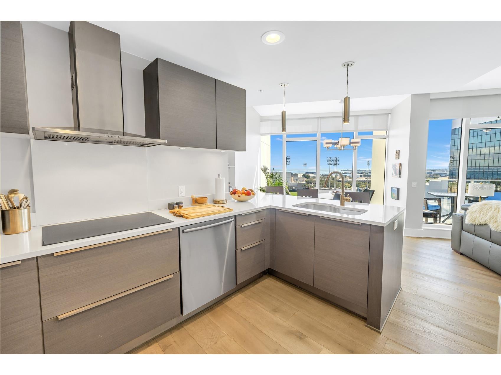 175 1st Street S #1006 Saint Petersburg FL 33701 - TAMPA BAY TB8483764 image14