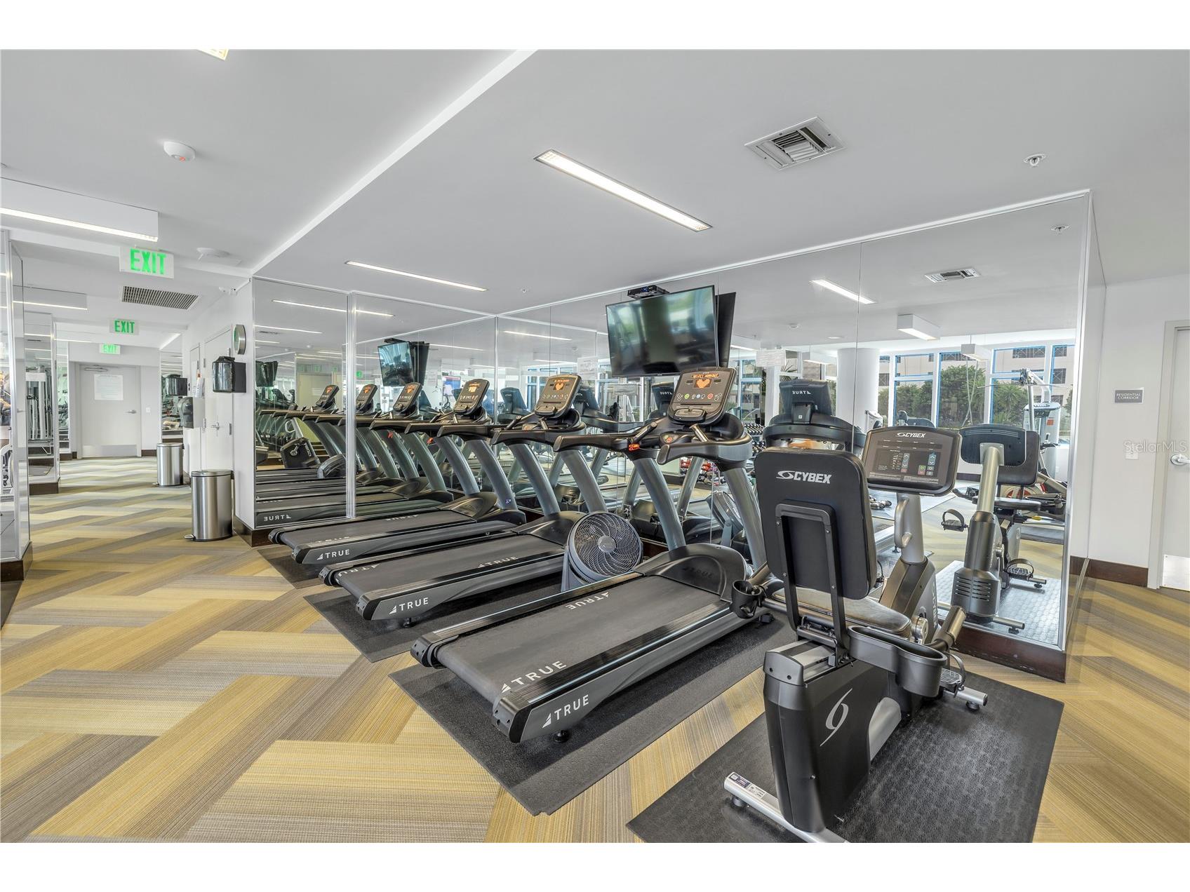 175 1st Street S #1006 Saint Petersburg FL 33701 - TAMPA BAY TB8483764 image33