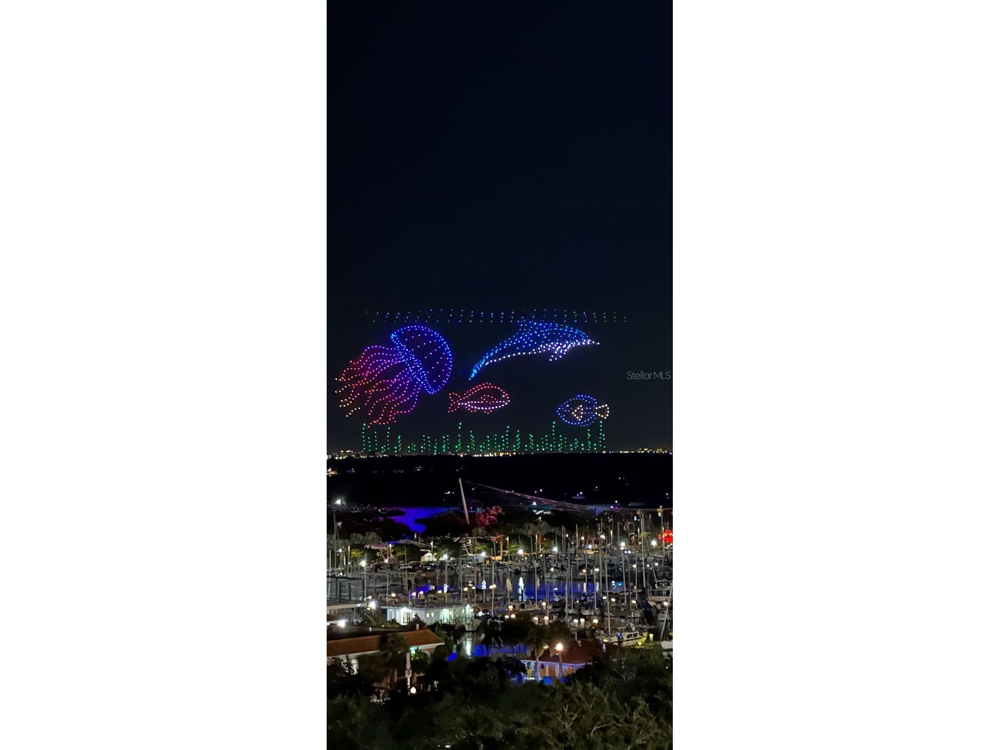 175 1st Street S #1008 Saint Petersburg FL 33701 TB8463912 image3