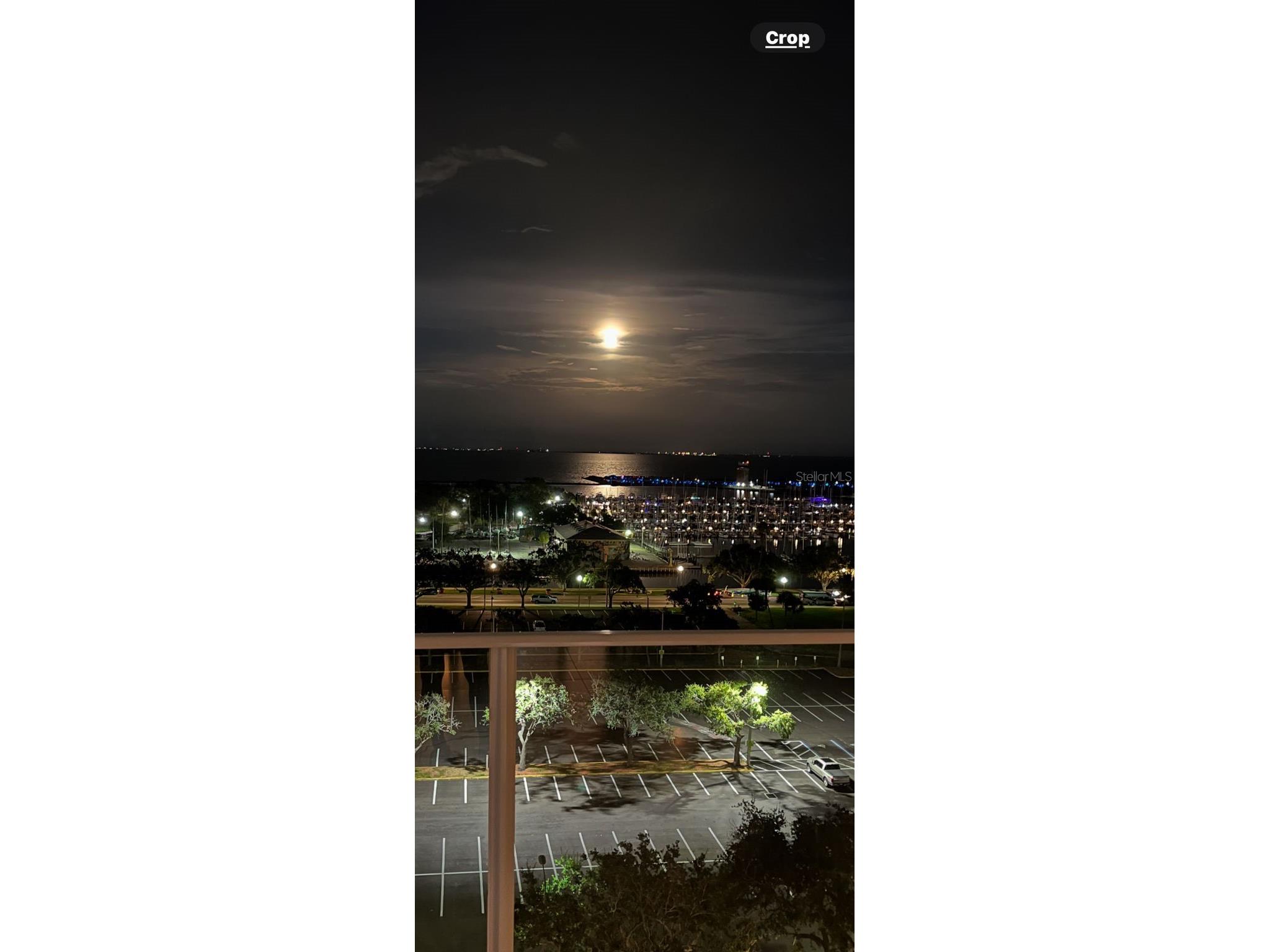 175 1st Street S #1008 Saint Petersburg FL 33701 TB8463912 image42