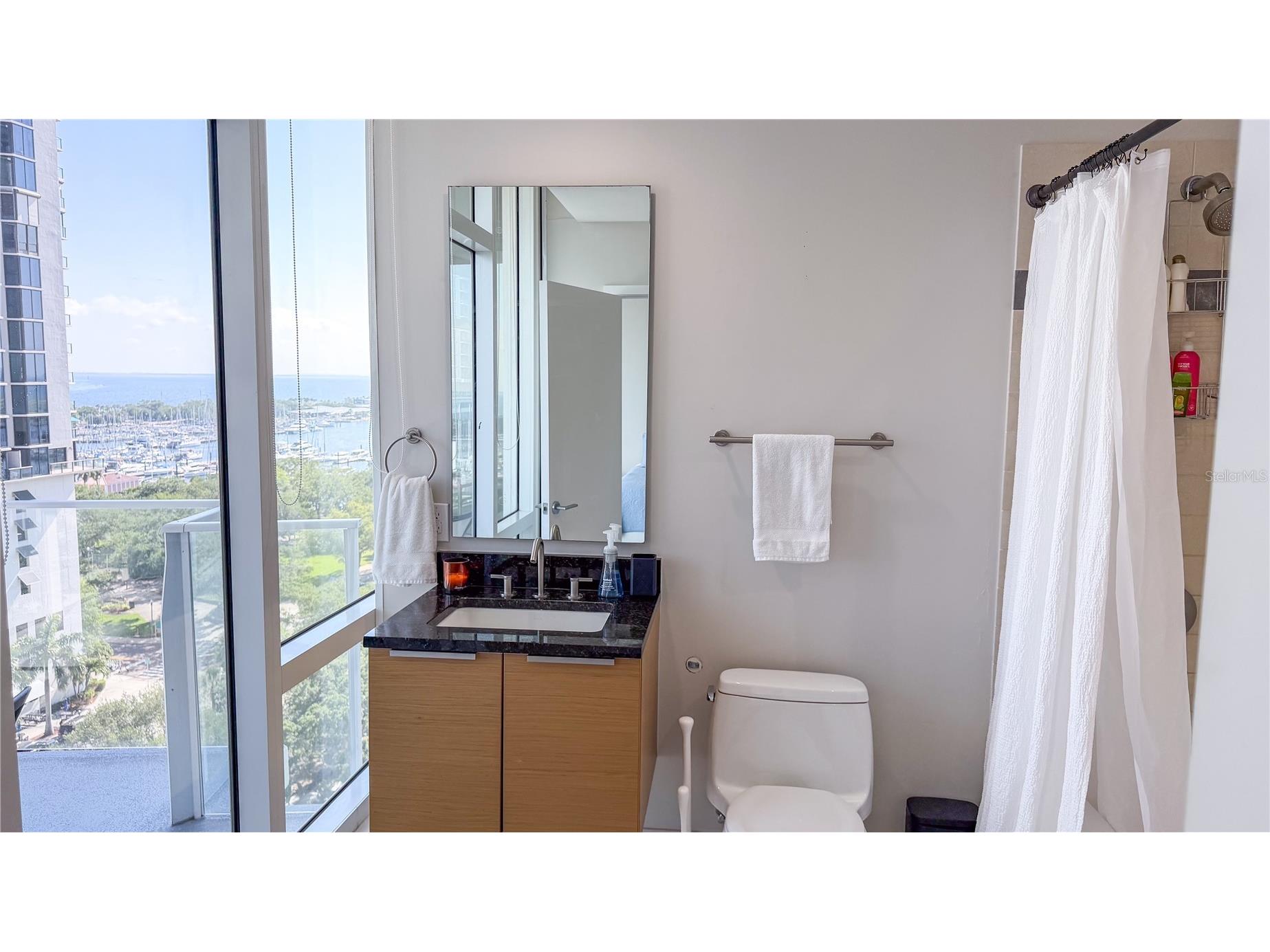 175 1st Street S #1108 Saint Petersburg FL 33701 - TAMPA BAY TB8499314 image12