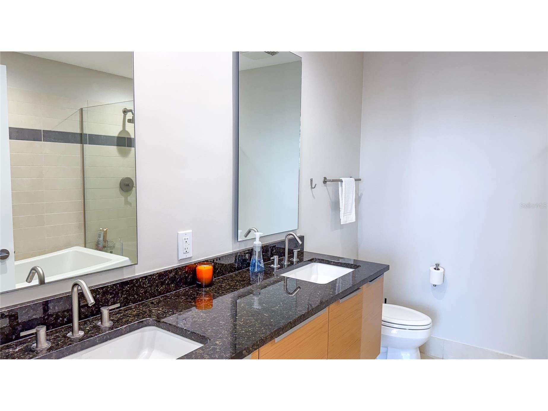 175 1st Street S #1108 Saint Petersburg FL 33701 - TAMPA BAY TB8499314 image7