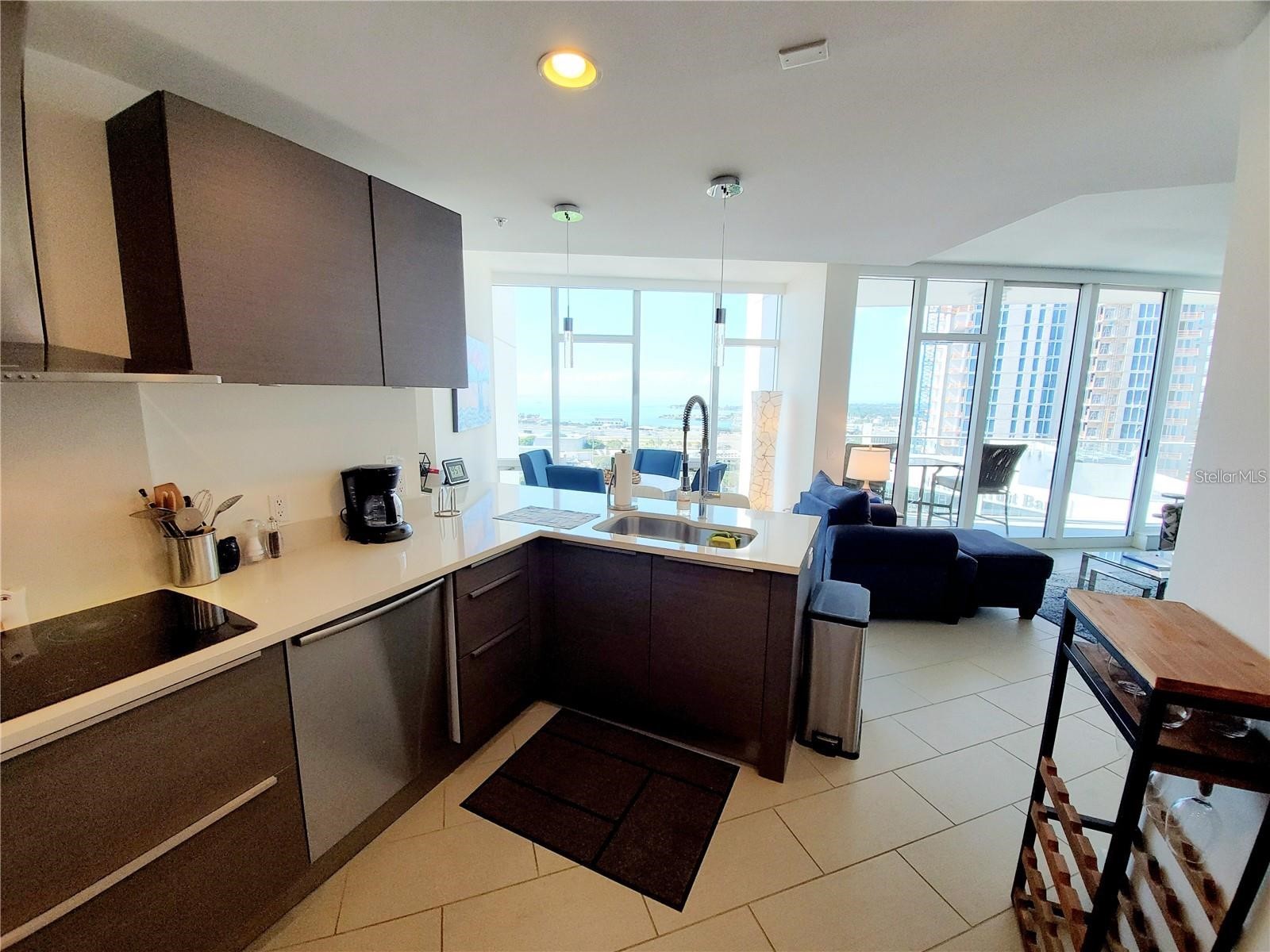175 1st Street S #2006 Saint Petersburg FL 33701 - TAMPA BAY TB8502961 image7
