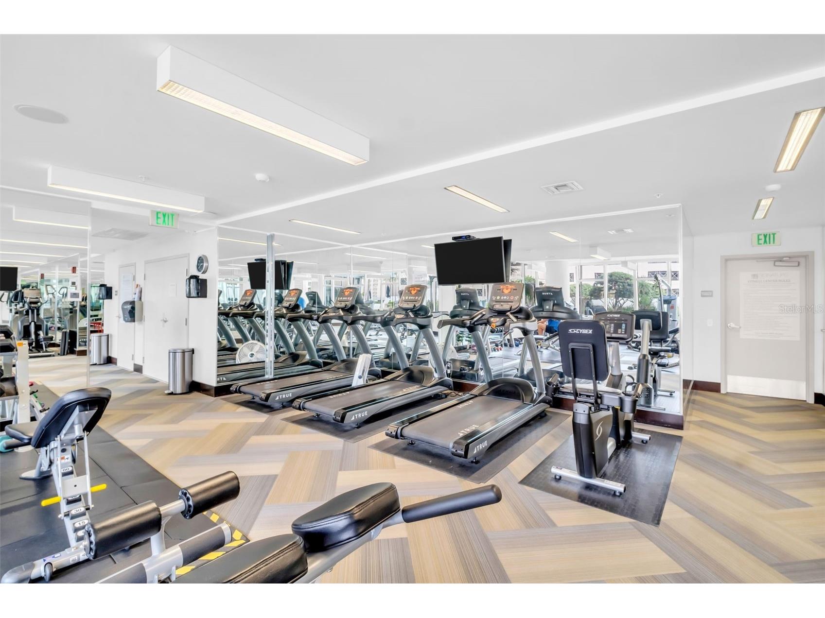 175 1st Street S #3005 Saint Petersburg FL 33701 - TAMPA BAY TB8457252 image33