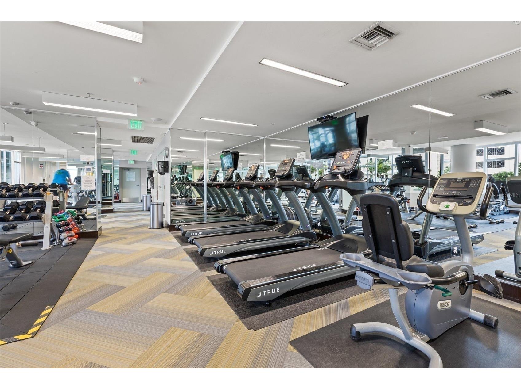 175 1st Street S #3102 Saint Petersburg FL 33701 TB8494591 image65