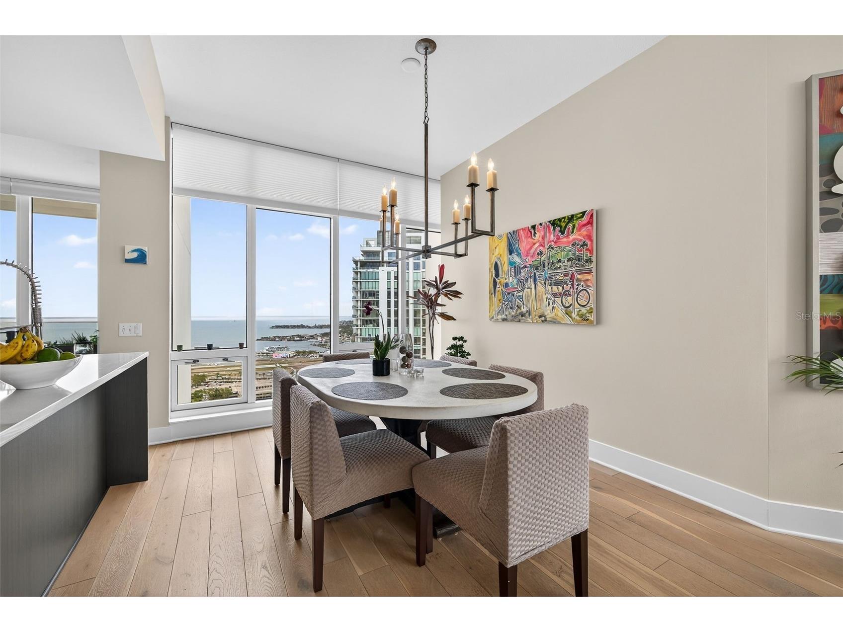 175 1st Street S #3102 Saint Petersburg FL 33701 TB8494591 image8