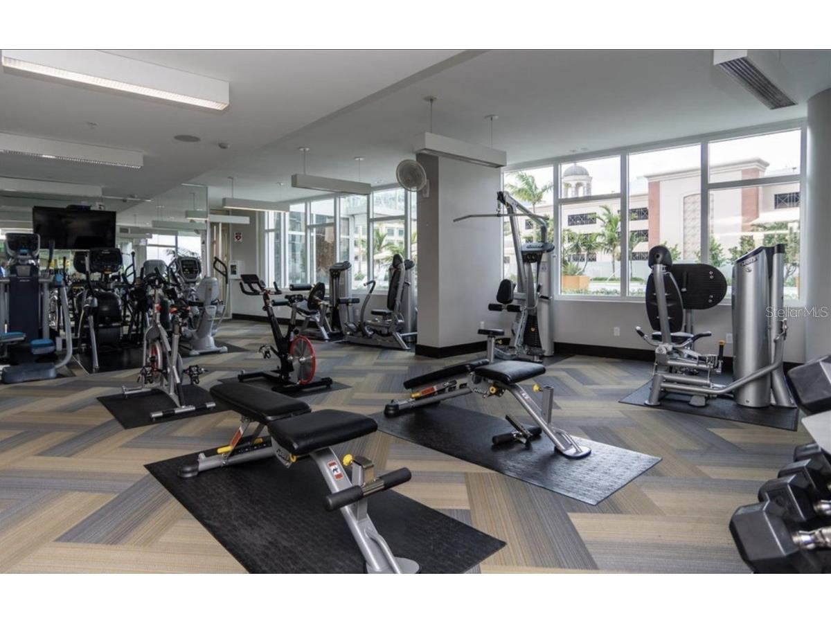 175 1st Street S #404 Saint Petersburg FL 33701 A4670258 image11