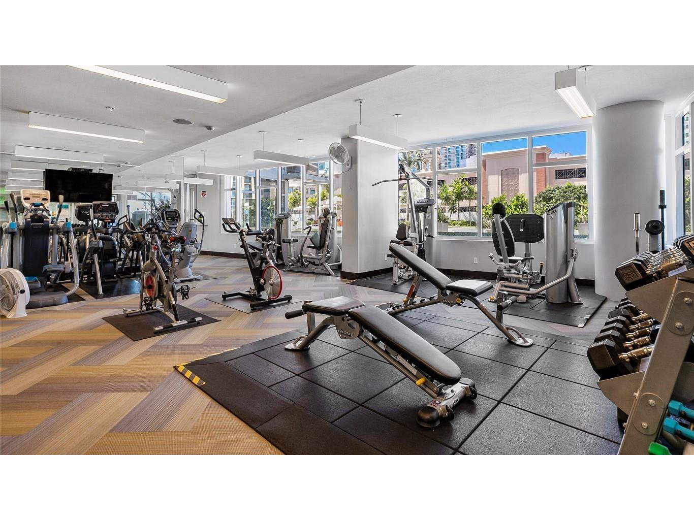 175 1st Street S #704 Saint Petersburg FL 33701 TB8431795 image21