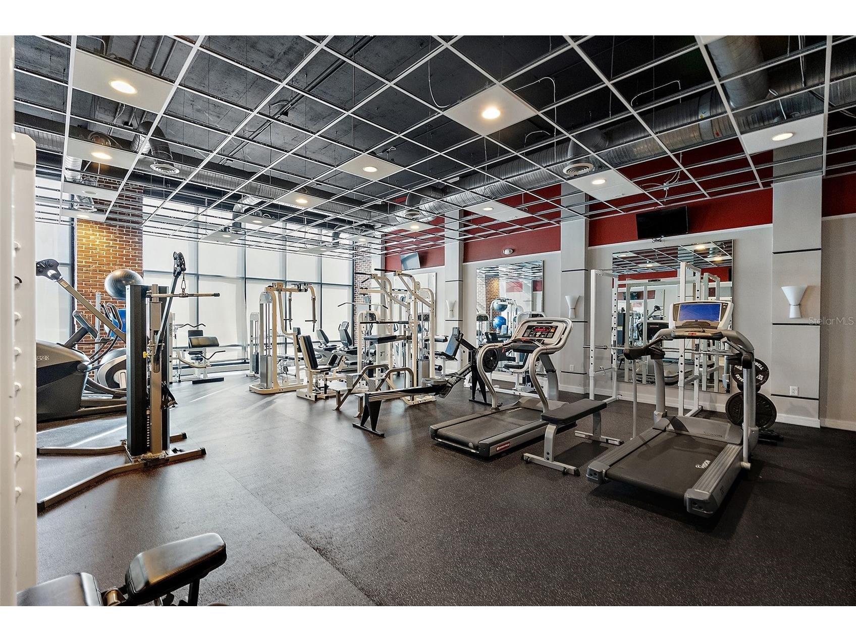 175 2nd Street S #P-08 Saint Petersburg FL 33701 - TAMPA BAY TB8443174 image41