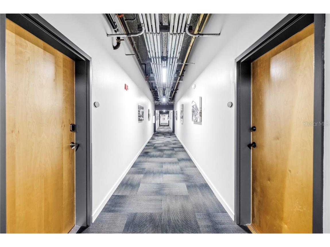 175 2nd Street S #P-2 Saint Petersburg FL 33701 TB8402228 image34