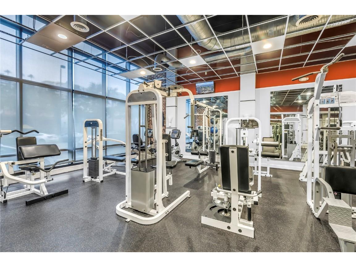 175 2nd Street S #P-2 Saint Petersburg FL 33701 TB8402228 image44