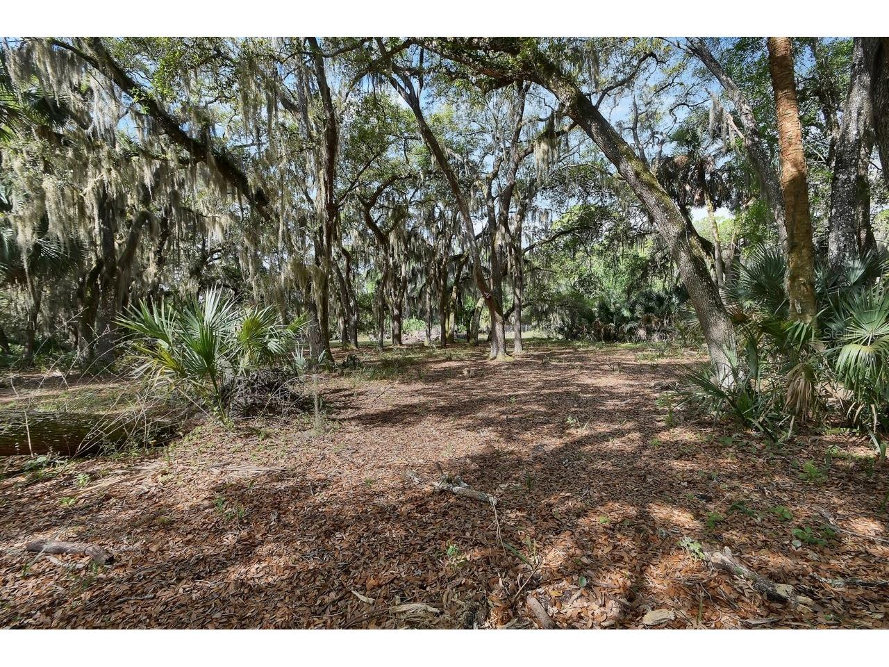 175 Baywood Drive Oak Hill FL 32759 NS1088016 image31