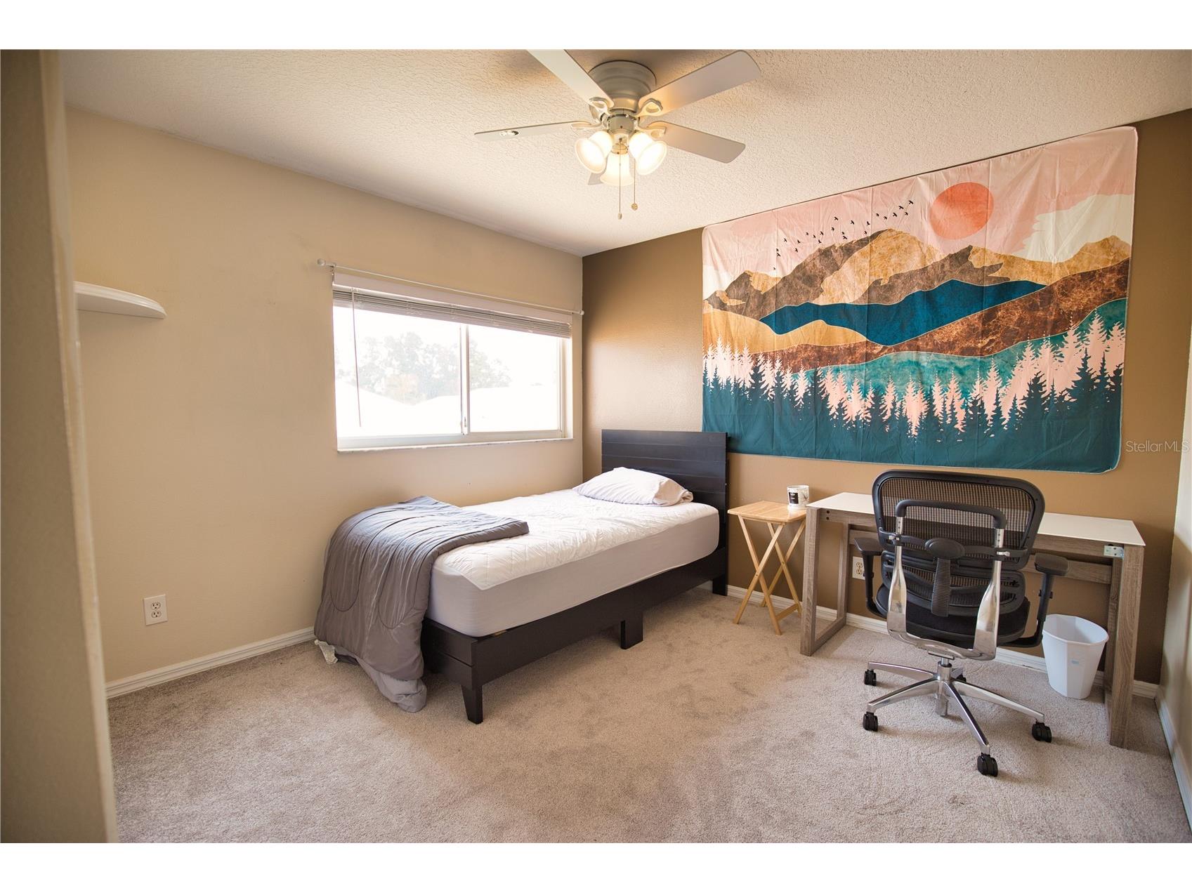 175 Braemar Avenue Venice FL 34293 N6142513 image26