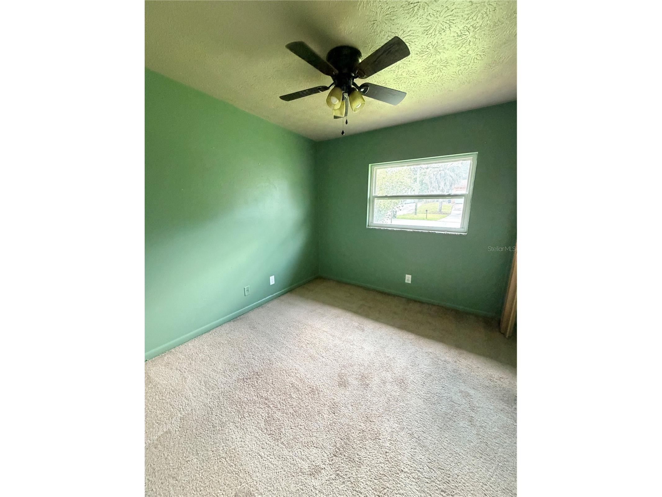 175 Capella Road Orange Park FL 32073 OM727420 image5