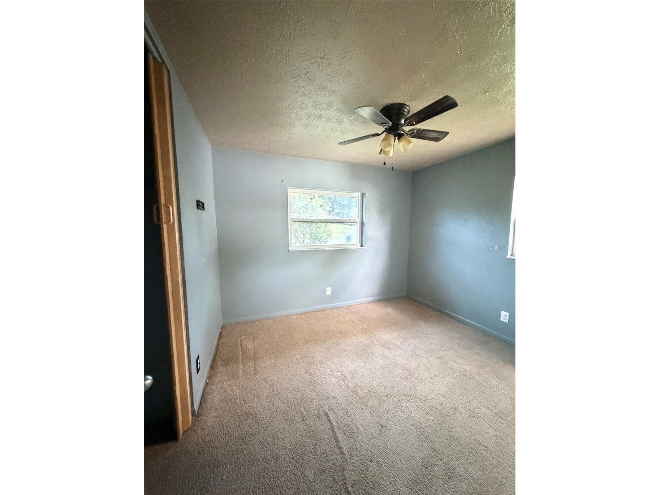 175 Capella Road Orange Park FL 32073 OM727420 image6