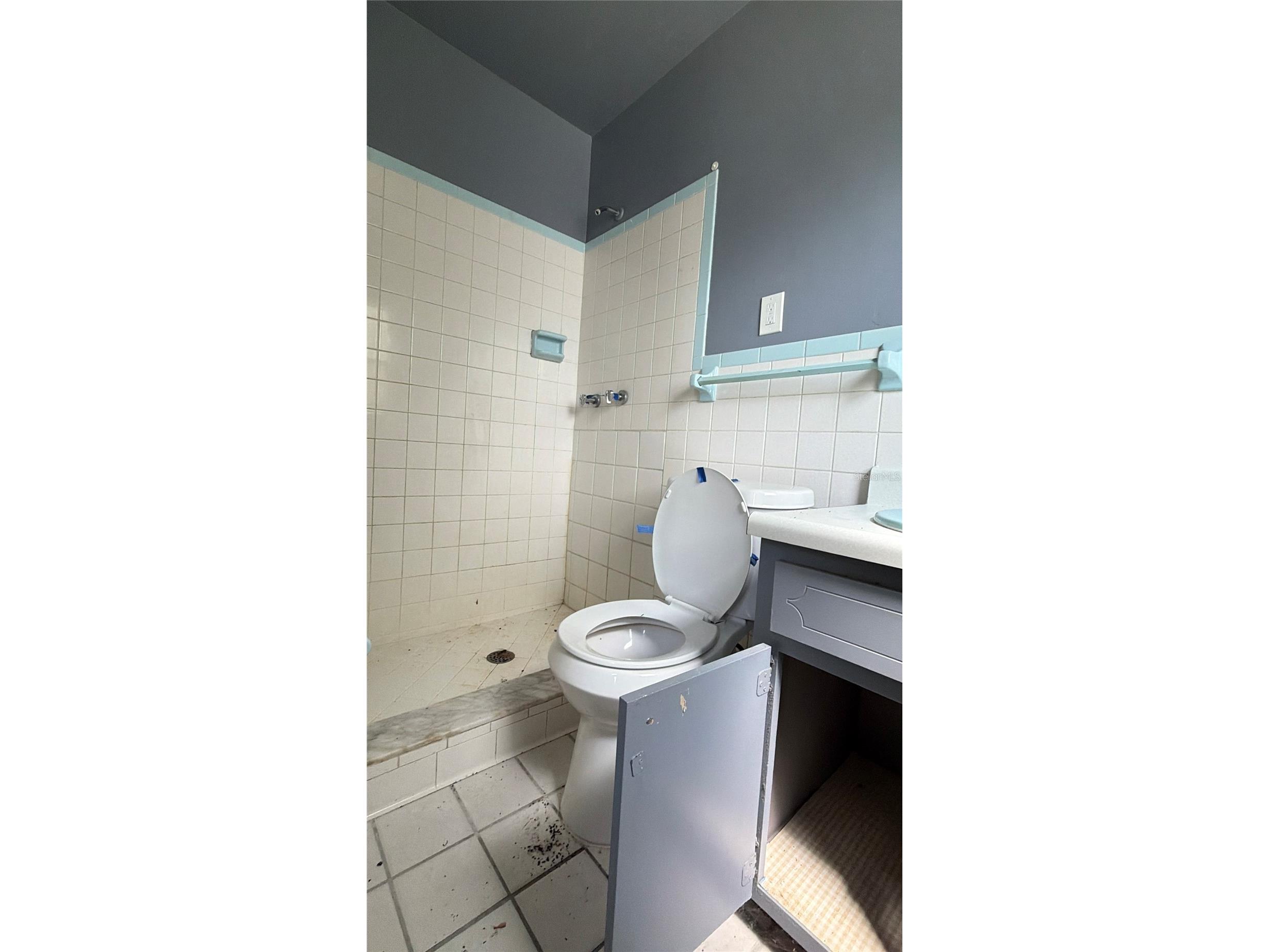 175 Capella Road Orange Park FL 32073 OM727420 image9