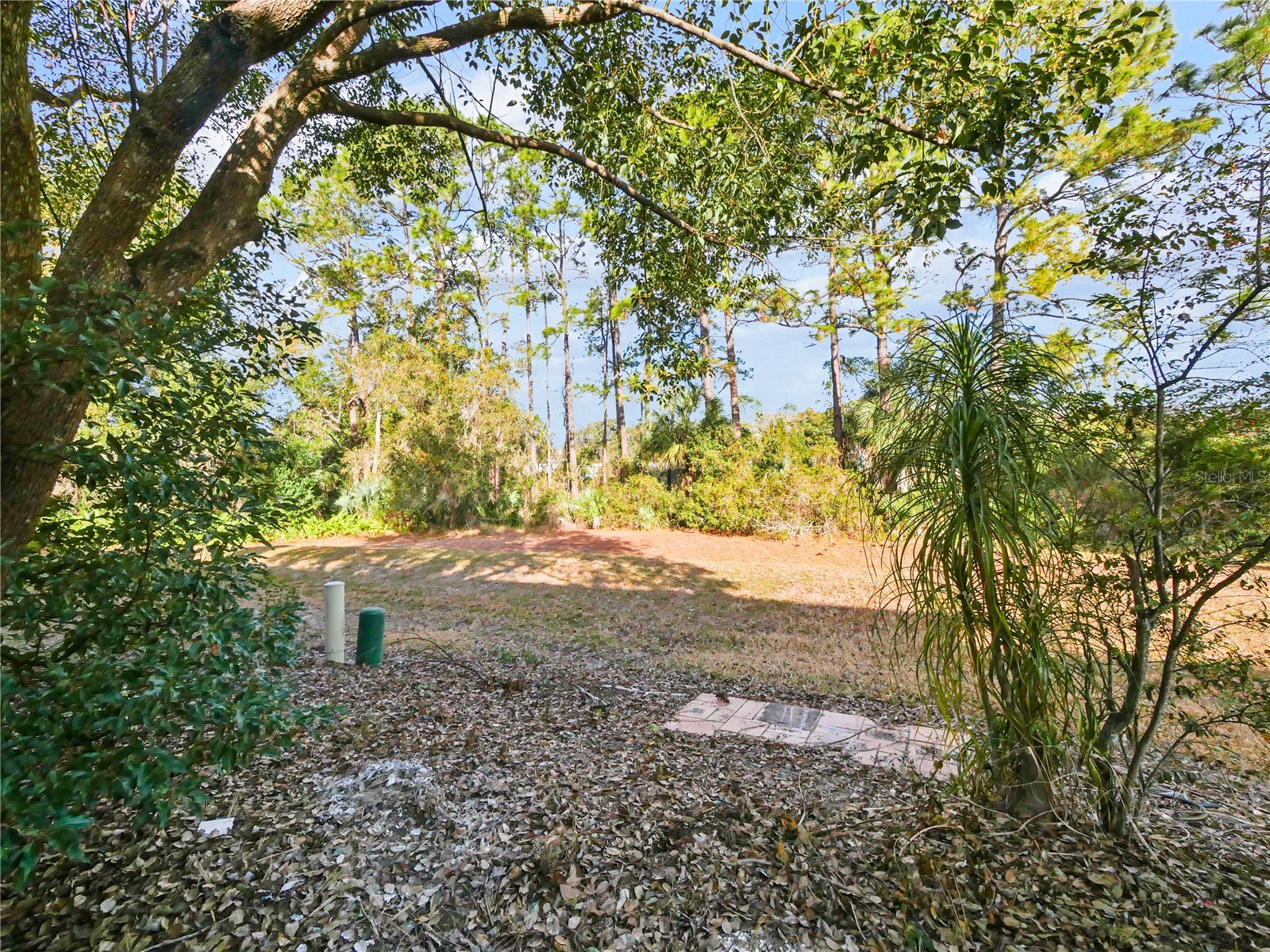175 Crown Point Circle #175 Longwood FL 32779 O6371436 image29