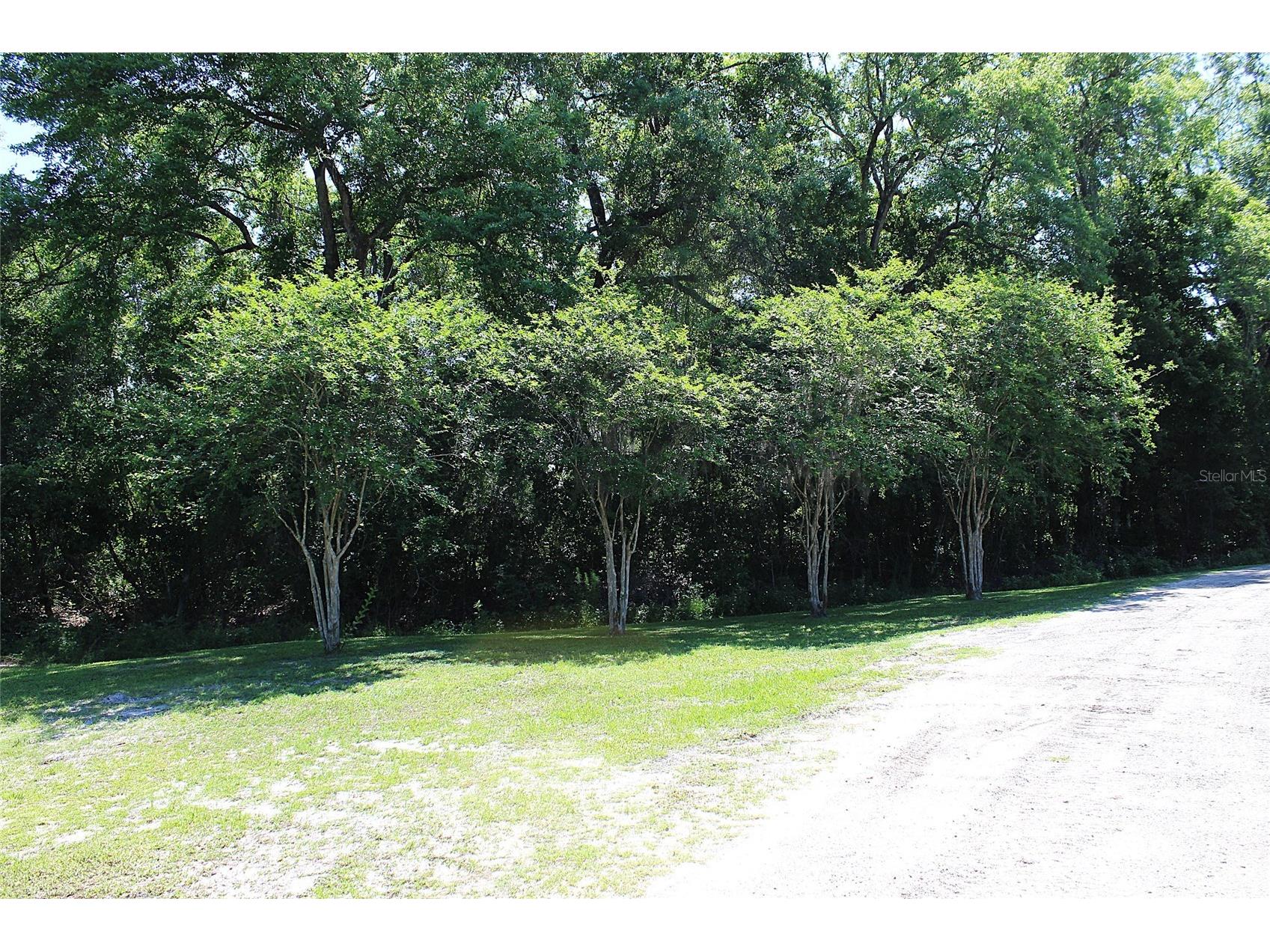 175 E San Jose Street Palatka FL 32177 OM724823 image5