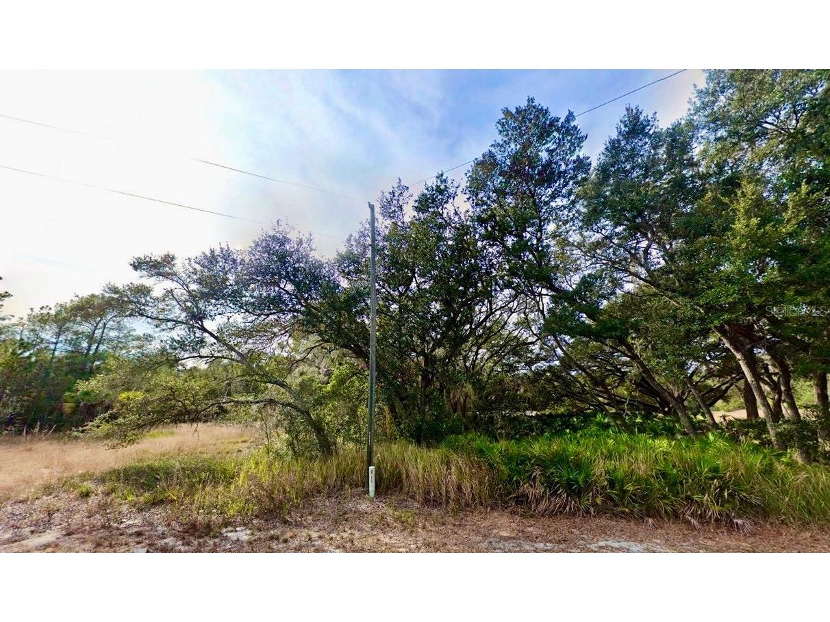 175 Fisher Ln Court Ocklawaha FL 32179 A4693543 image1