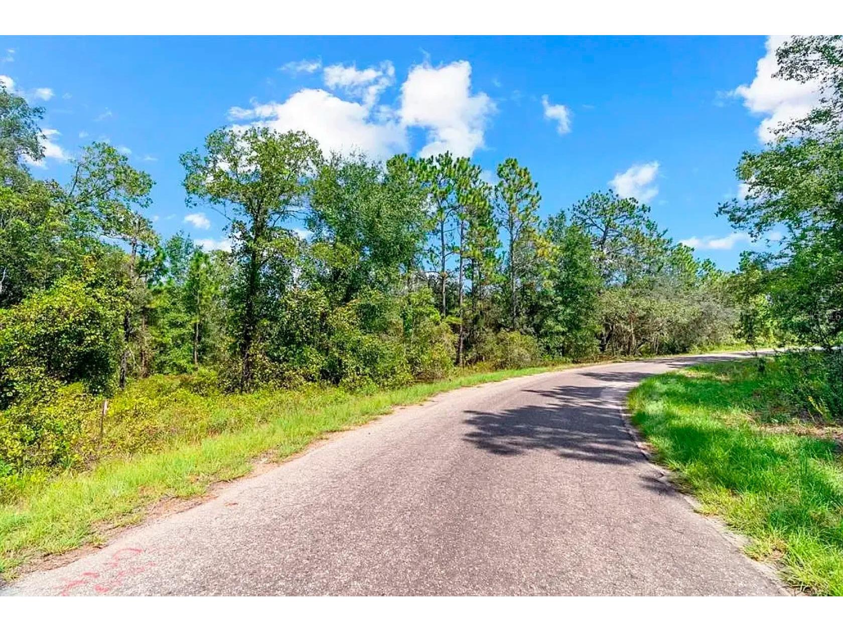 175 Fisher Ln Court Ocklawaha FL 32179 A4693543 image4