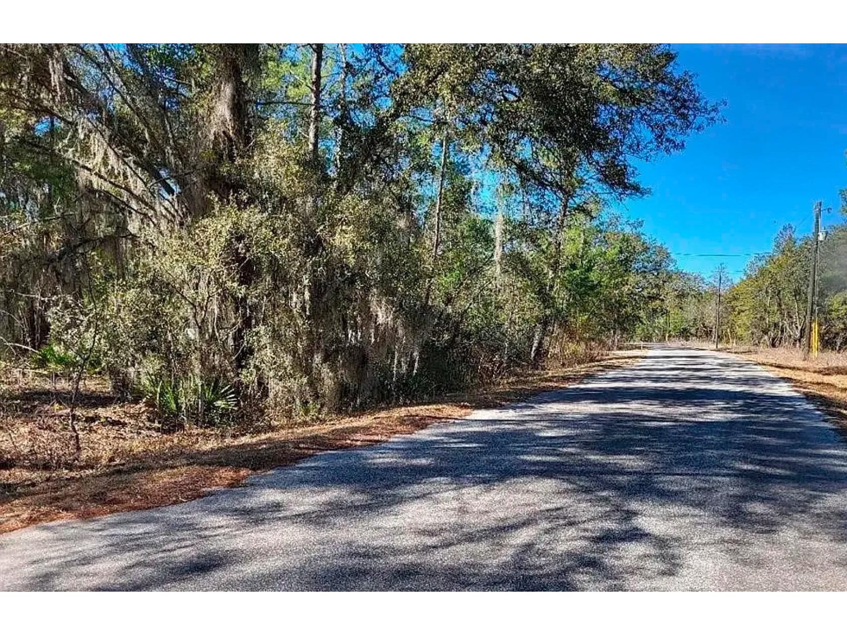 175 Fisher Ln Court Ocklawaha FL 32179 A4693543 image6