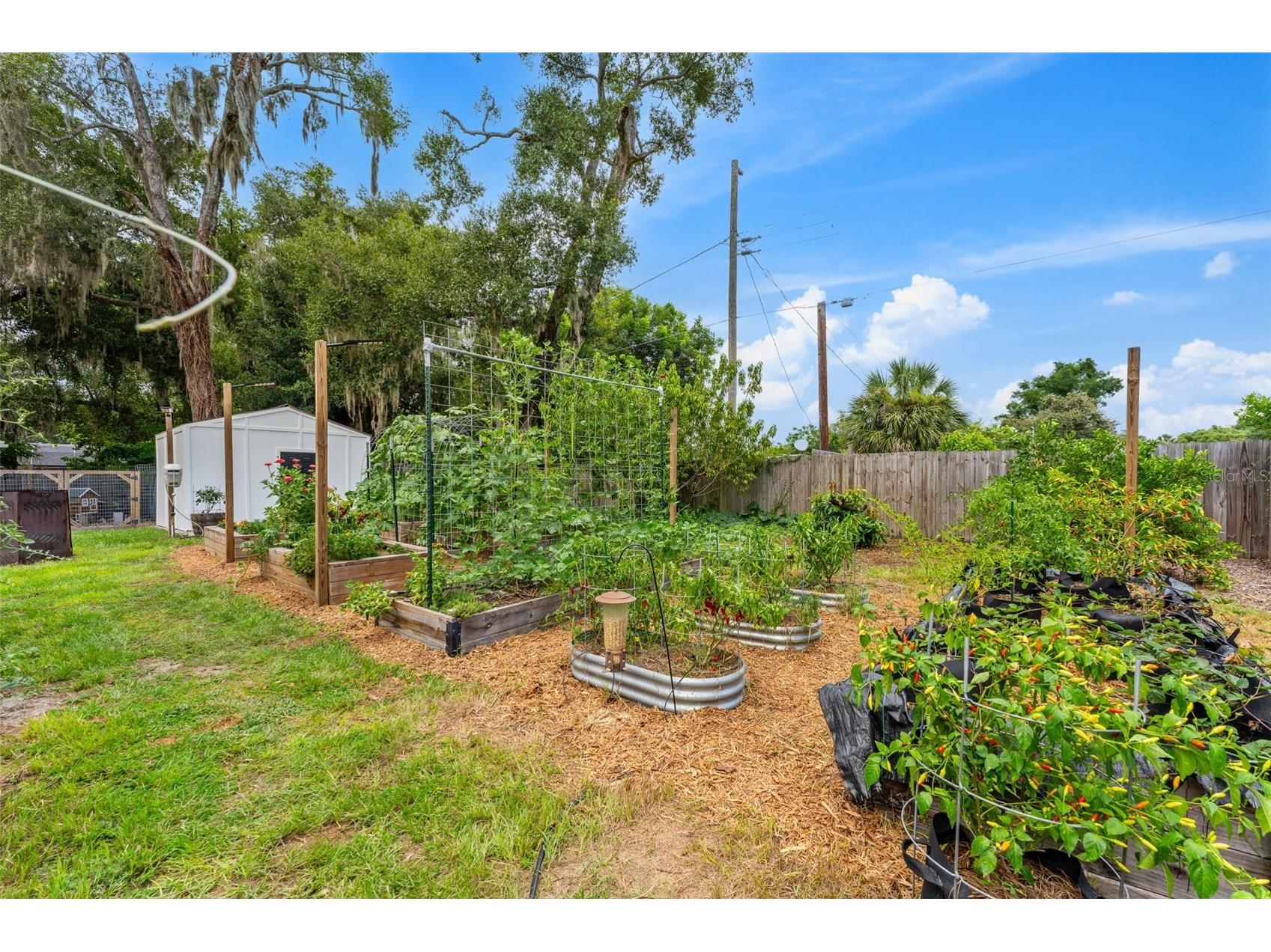 175 Grace Boulevard Altamonte Springs FL 32714 O6425599 image35
