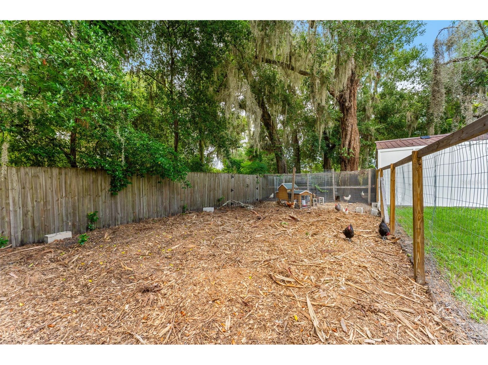 175 Grace Boulevard Altamonte Springs FL 32714 O6425599 image6