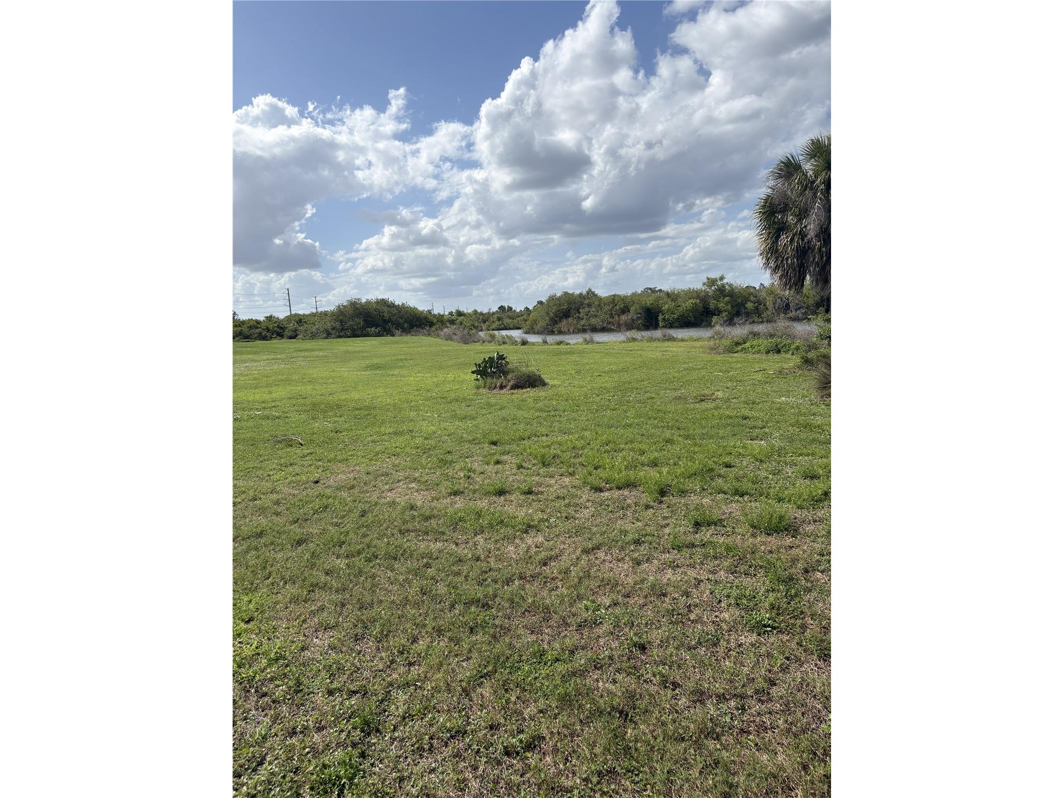 175 Kings Highway #A1 Punta Gorda FL 33983 C7524676 image22