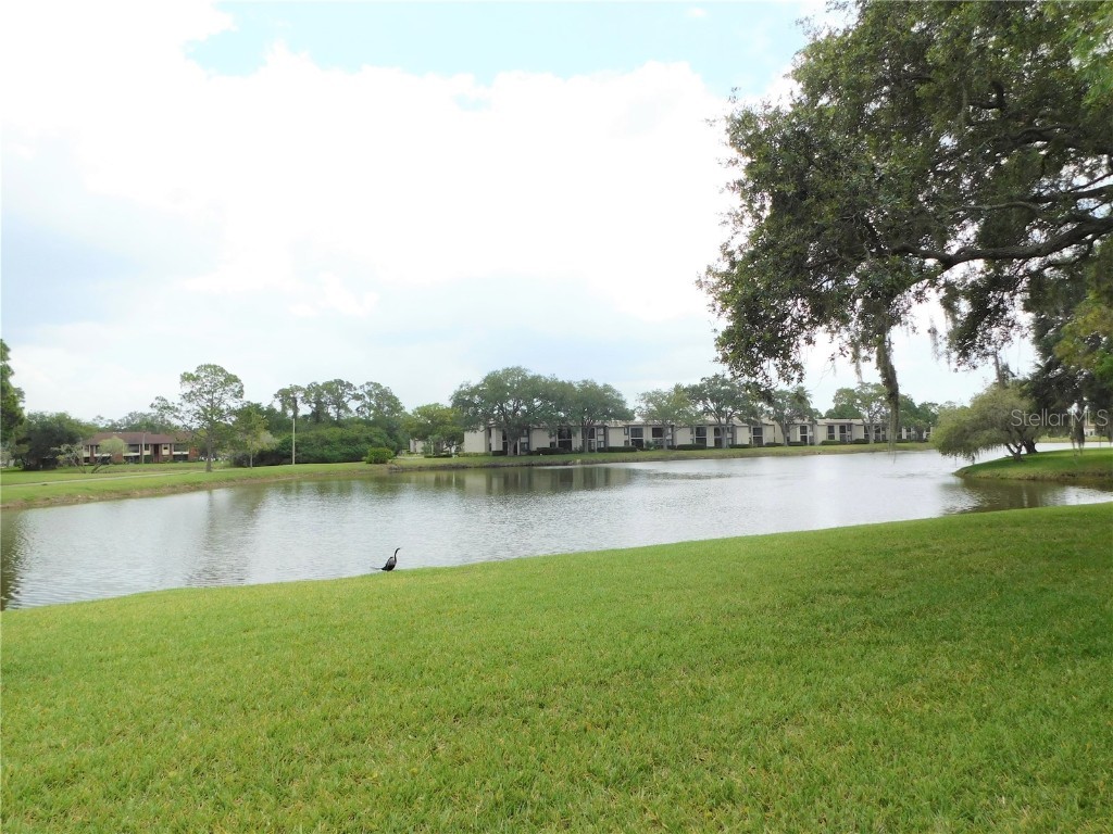 175 Lakeview Way #175 Oldsmar FL 34677 U8203038 image1