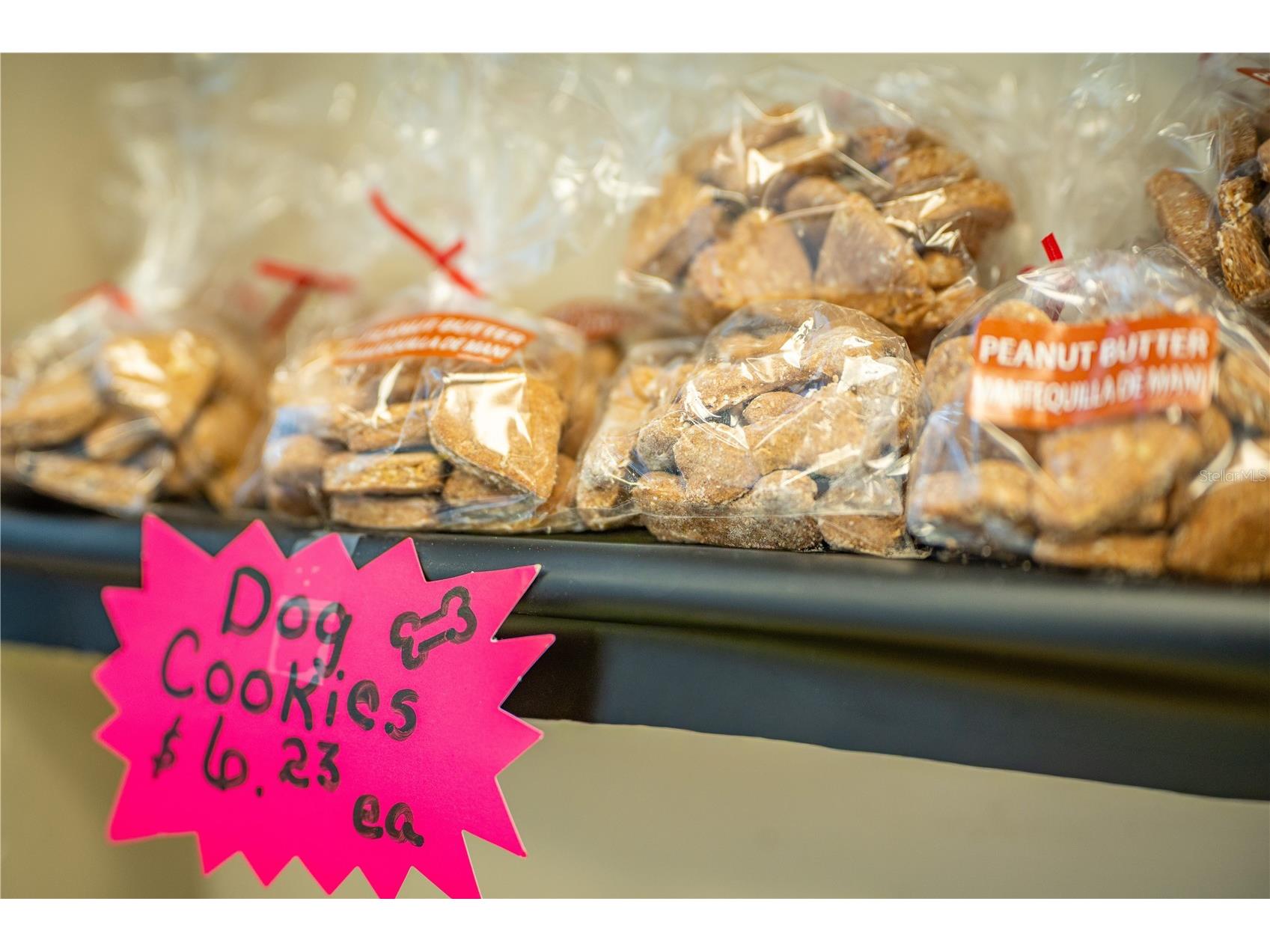 175 N Nova Road #STE 7 Ormond Beach FL 32174 V4946728 image15