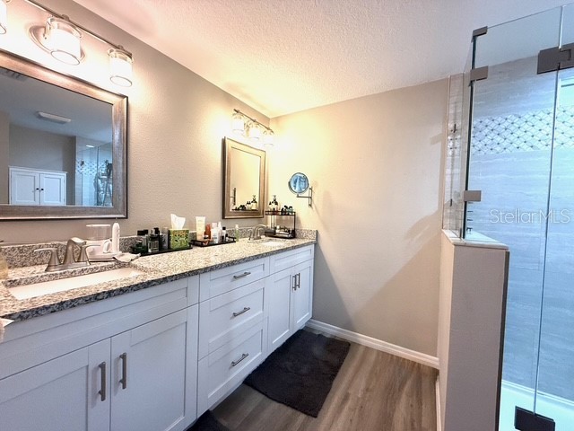 175 N Saint Thomas Circle Apollo Beach FL 33572 TB8460666 image12