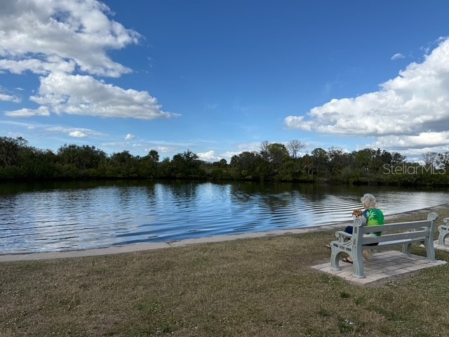 175 N Saint Thomas Circle Apollo Beach FL 33572 TB8460666 image24
