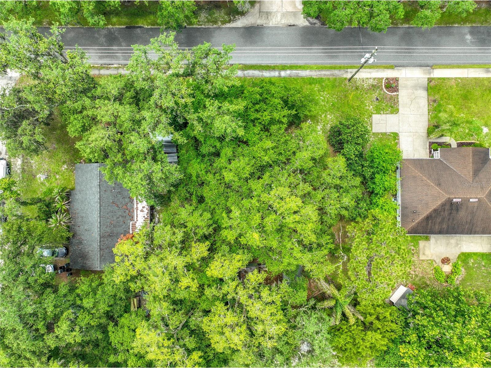 175 N Summit Avenue Lake Helen FL 32744 S5151258 image19