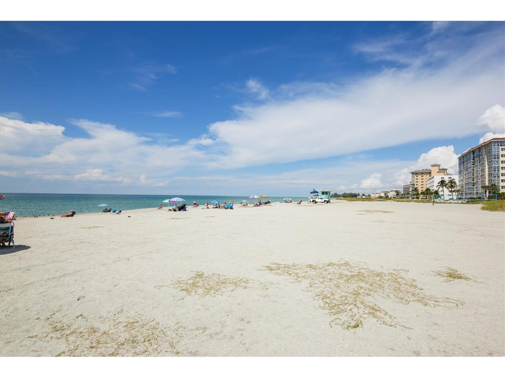 175 Nolen Drive Venice FL 34292 N6144165 image60