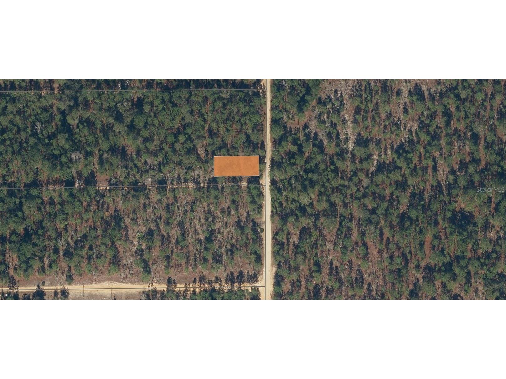 175 Park Avenue Interlachen FL 32148 OK225739 image1