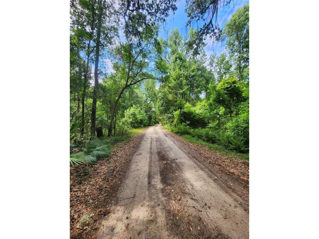 175 She She Road Hawthorne FL 32640 - LITTLE ORANGE LAKE OM653454 image1