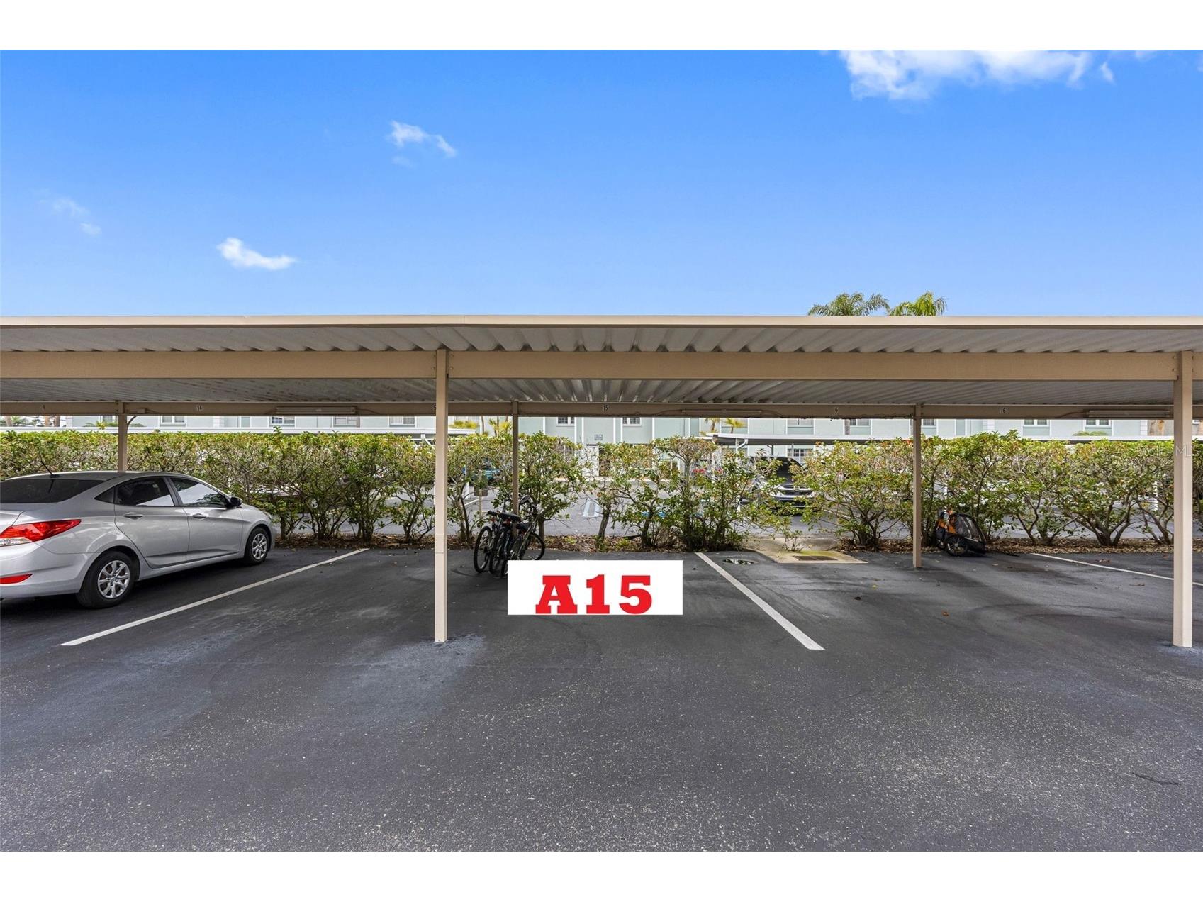 1750 Belleair Forest Drive #A15 Clearwater FL 33756 TB8529758 image21