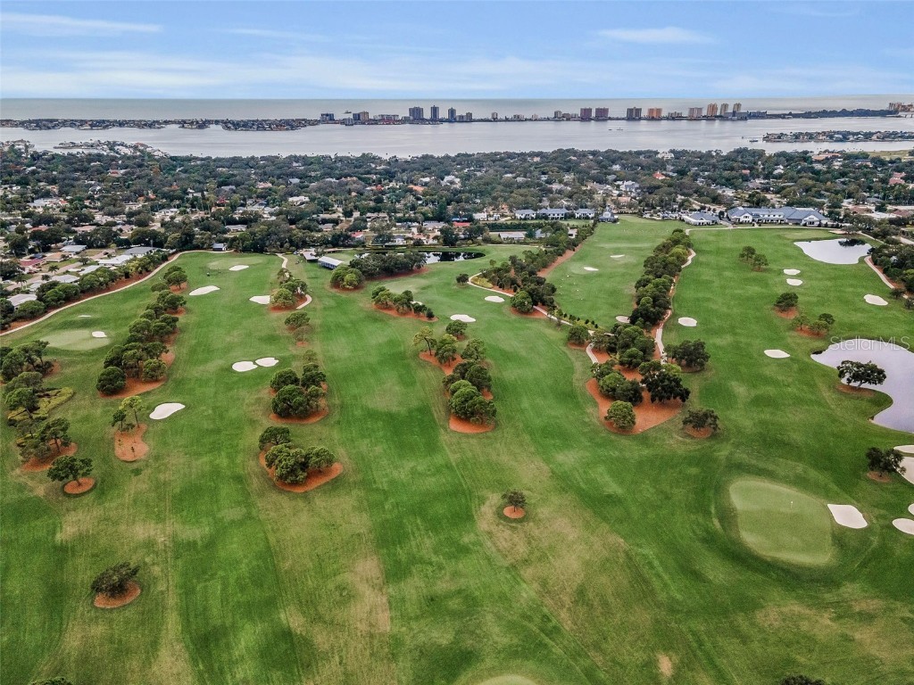 1750 Belleair Forest Drive #A7 Belleair FL 33756 W7880820 image41