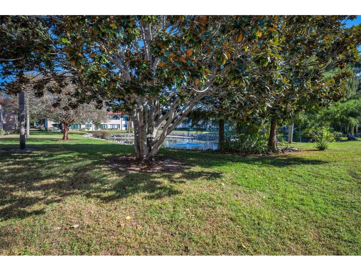 1750 Belleair Forest Drive #A7 Belleair FL 33756 W7880820 image79