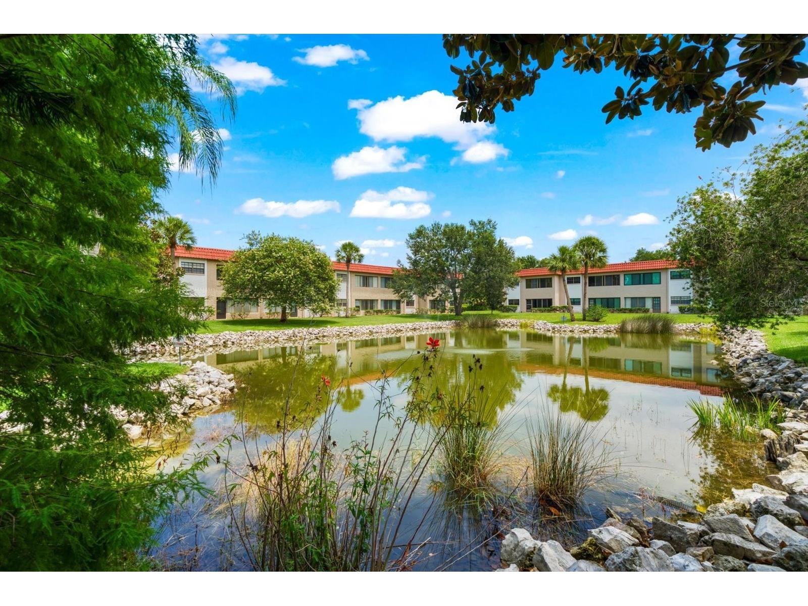1750 Belleair Forest Drive #B8 Belleair FL 33756 TB8528200 image40